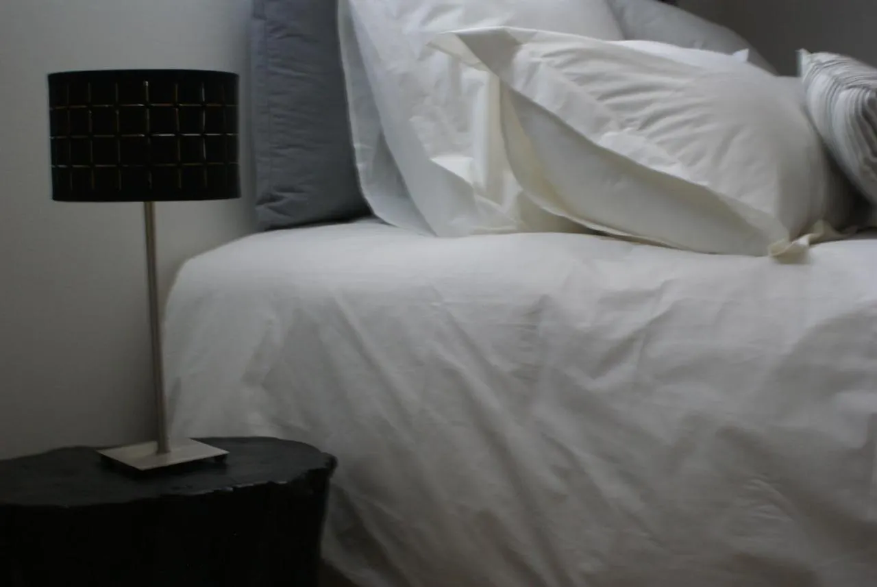 La Cour Soubespin Bed & Breakfast Lille